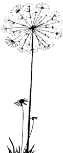 花 019