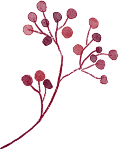 水彩 花43