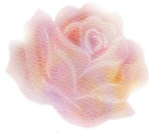 水彩 花48